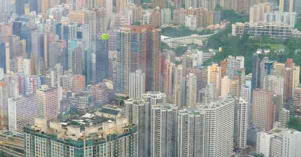 跳墙软件下载