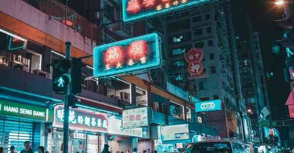 坚果安卓下载